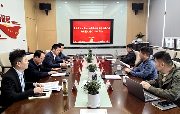 纪审联动压实整改责任，精准施策激活增效动能